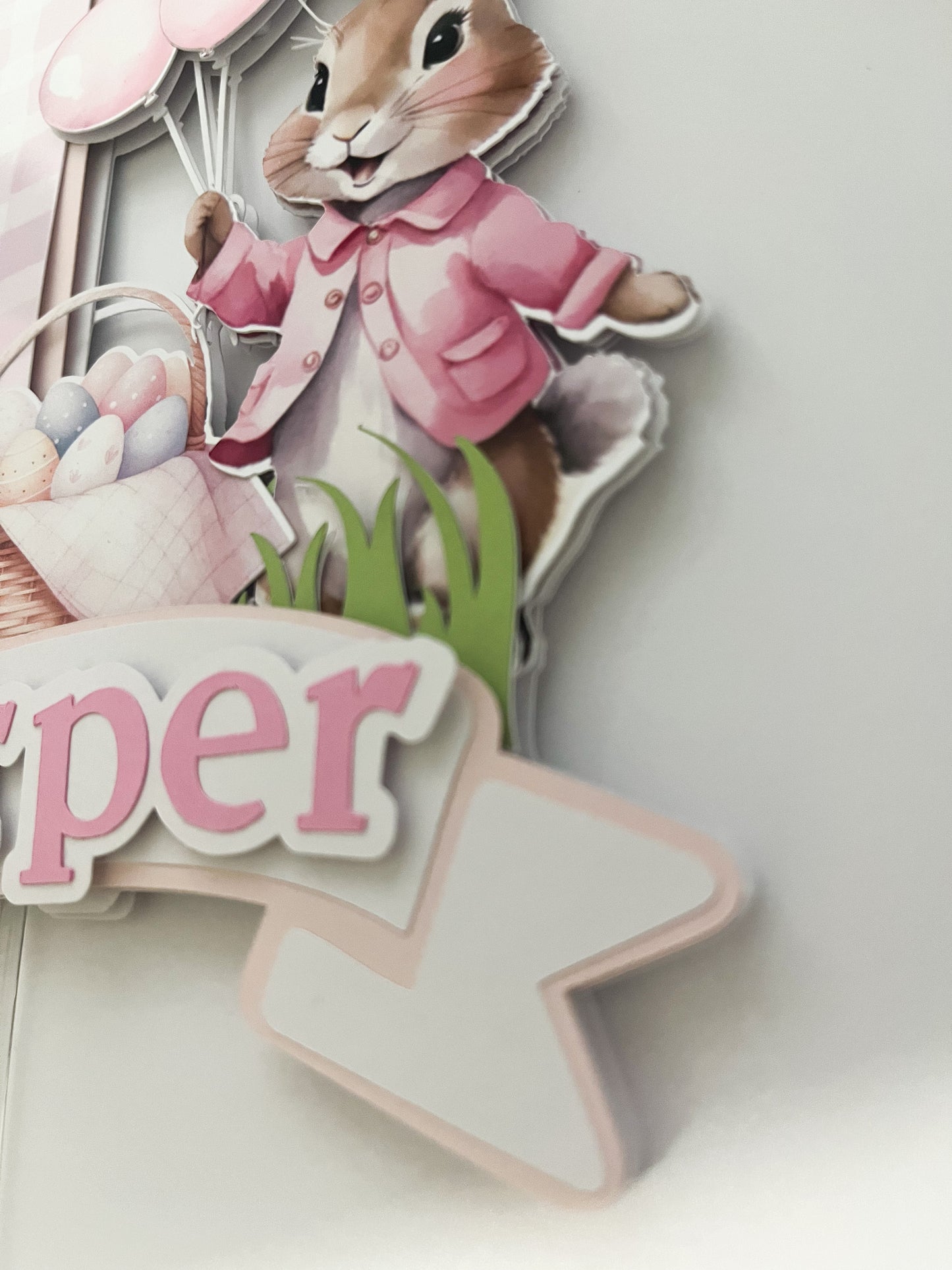 Peter Rabbit Cake Topper